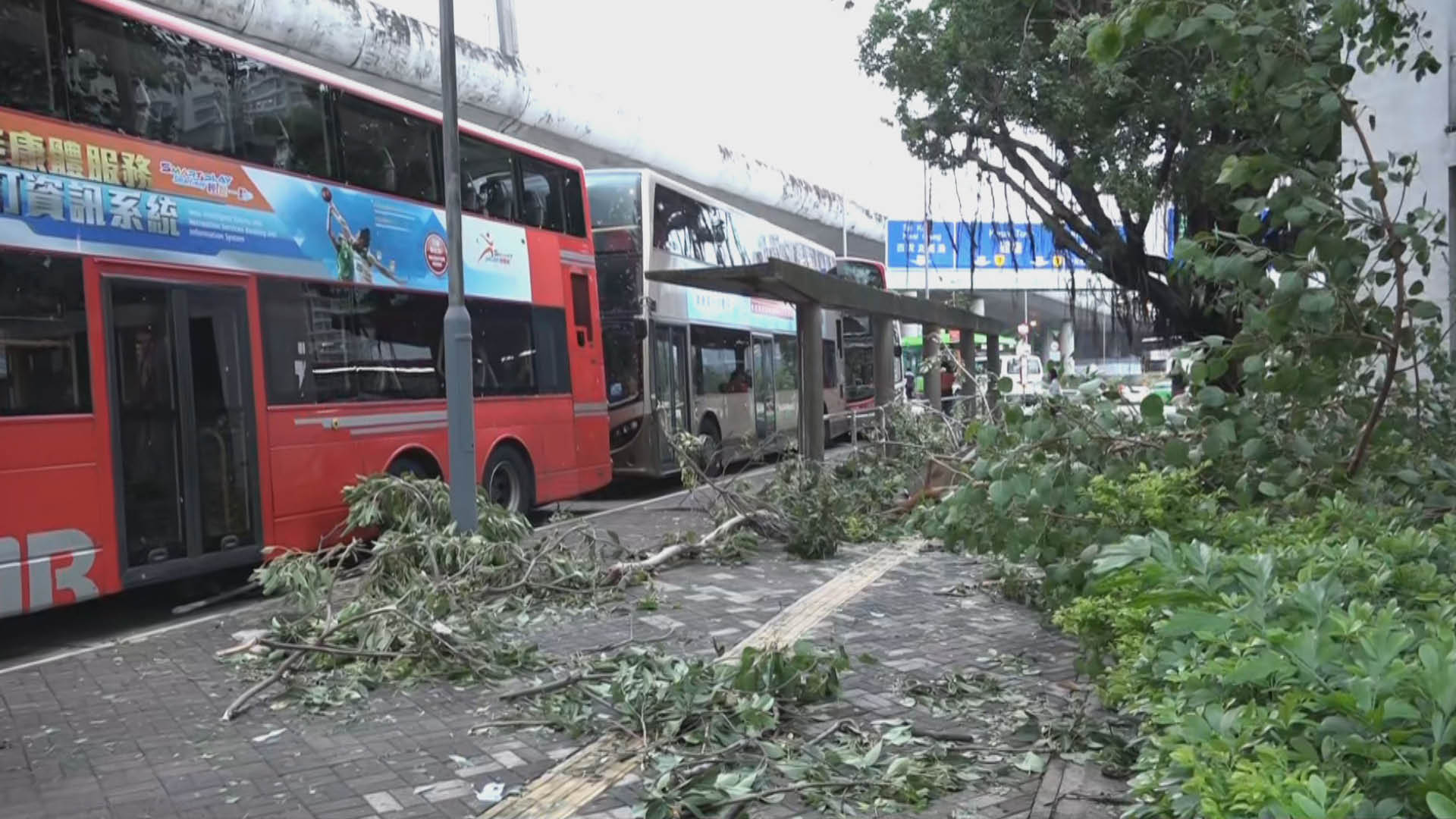 颱風蘇拉｜強風吹襲多處高空墮物　擊中多輛巴士、私家車　另三遊艇相撞破損